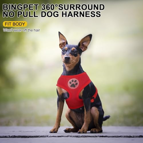 Small Dog Harness (XS (NECK: 10", CHEST: 10"-14") / Red)