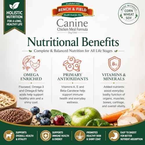 Holistic Premium Dry Dog Food (6.6 Pound (Pack of 3))