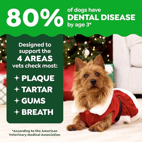 Petite Natural Dental Dog Treats (10 Count (Pack of 1))