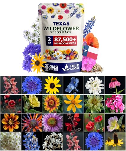 Texas Wildflower Mix 87