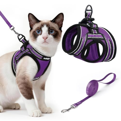 Cat Harness and Leash Set (L / Purple)
