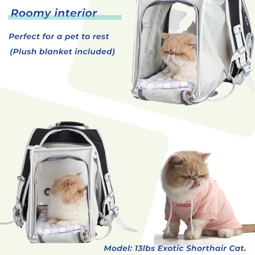Expandable Bubble Cat Carrier Backpack (Square Back Expandable-Black)