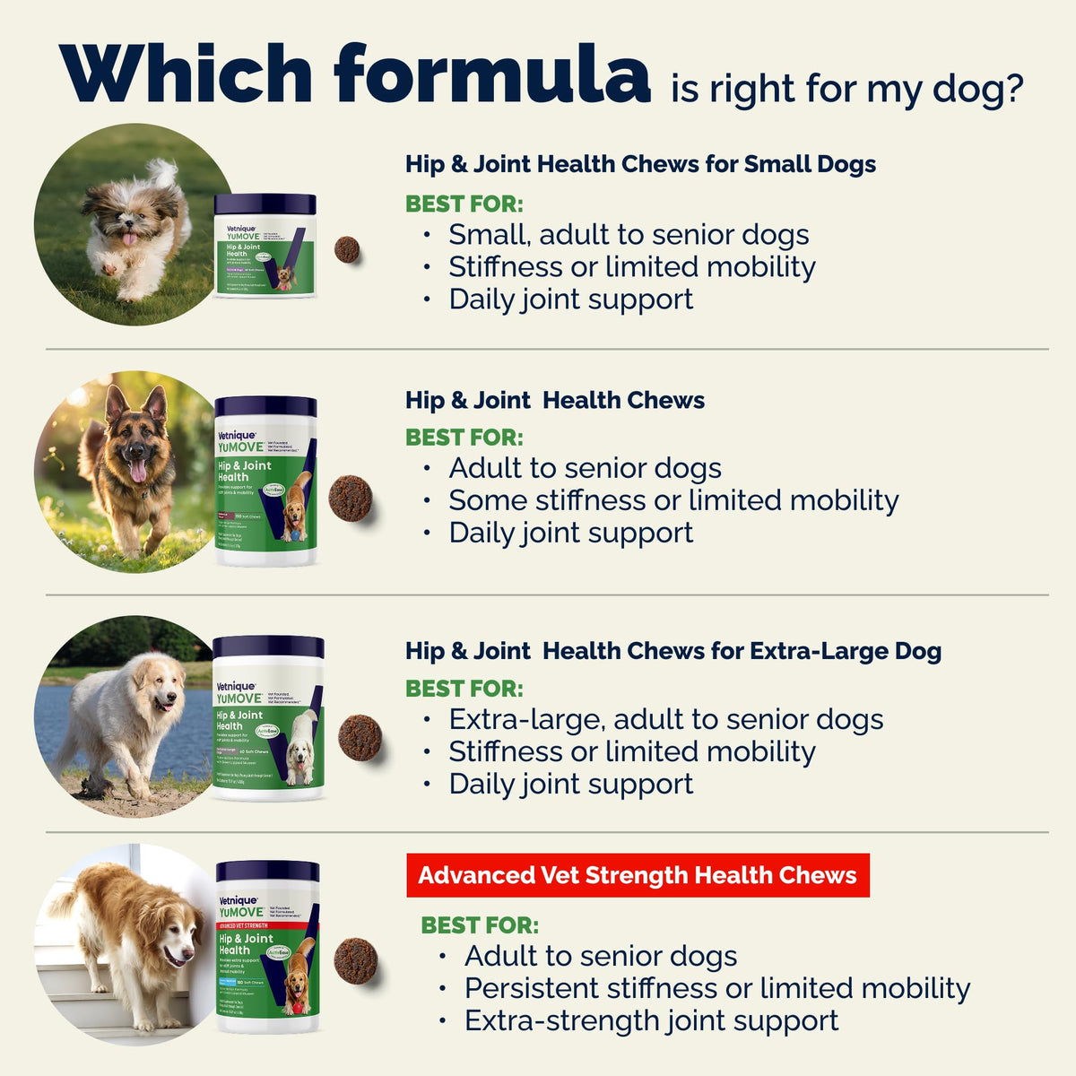 Adult Dog Hip & Joint Supplement Chews Green Lipped Mussel 300ct (300ct Chews)