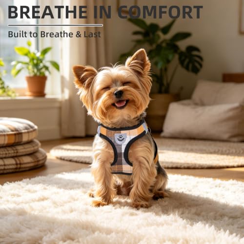 Dog Harness Collar and Leash Set No Pull for Small Medium Sized (Orange / XL (CHEST 20"-22"))