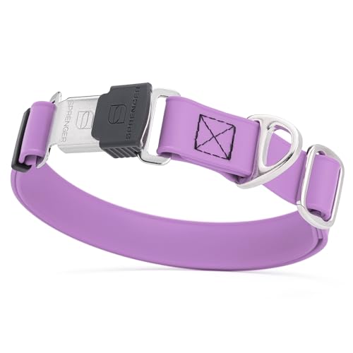 Biothane Waterproof Dog Collar with Herm Sprenger Stainless Steel Quick Release Buckle (W 1" x L 15"-25" / Amethyst Purple)
