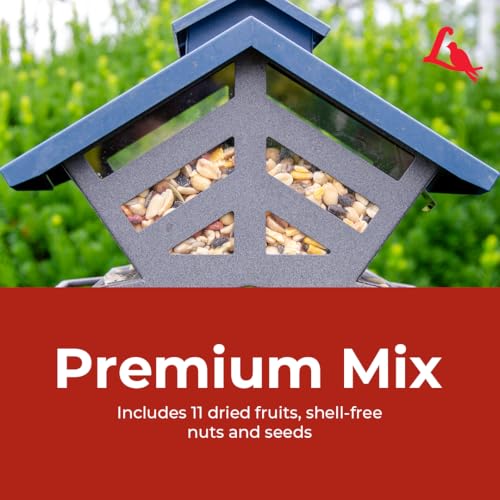 Fruit and Nut Wild Bird Seed Mix (1 Count (Pack of 2))