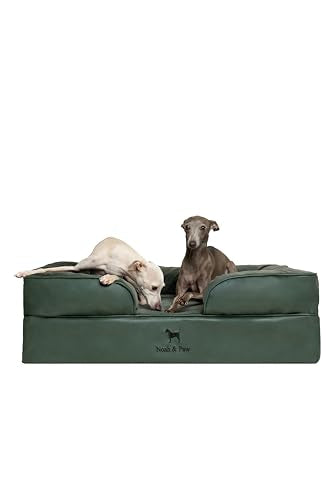 Dog Bed Orthopedic Memory Cooling Foam (Green - LE / Large)