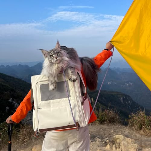 Cat Backpack Carrier for Large Cats (Champagne)