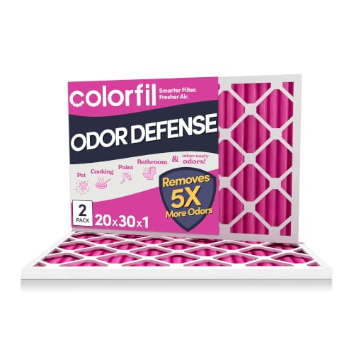 20x30x1 Air Filter (2-Pack / 20" x 30" x 1")