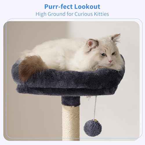 Cat Tree with Toy (Smoky Gray / 49 inch)