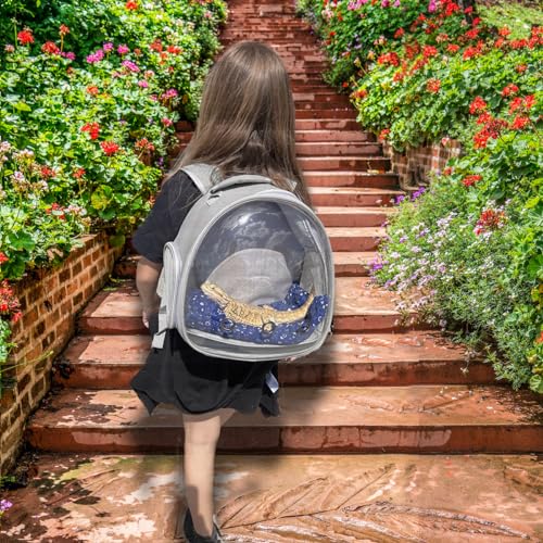 Bearded Dragon Travel Backpack with Harness and Leash Set (Gery)