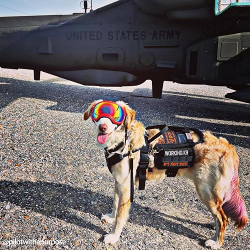Service Dog Vest Harness (Large / Black)