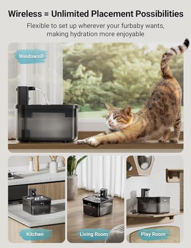 Cat Water Fountain Cordless (Black / Pro)