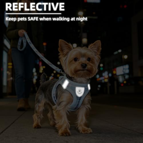 Dog Harness Collar and Leash Set No Pull for Small Medium Sized (Blue / XL (CHEST 20"-22"))