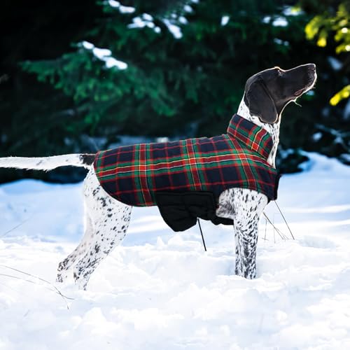 Waterproof Dog Coat (Royal Blue / X-Small (Pack of 1))