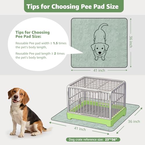 Washable Pee Pads for Dogs (Green Dog Element / 36"x41"(Pack of 2))