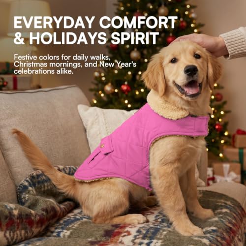 Waterproof Large Dog Winter Coat Cold Weather Warm Fleece Jacket (Large / Pink)
