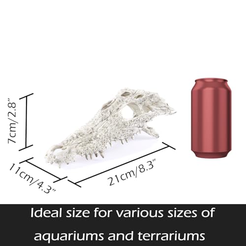 Animal Skull Fish Aquarium Hideout Decorations Cave Dinosaur Reptile Ornament Halloween Décor for Terrarium Large Betta Decor Bones (Crocodiles)