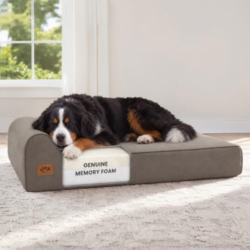 XXL 35D Memory Foam Dog Bed for Extra Large Dogs (XX-Large / Dark Grey)