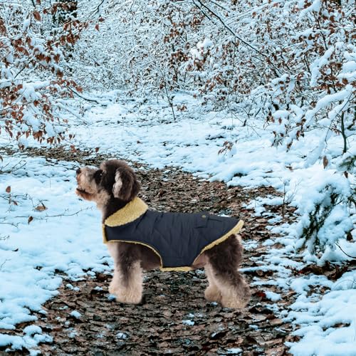 XS Warm Puffer Dog Coat Ultra Thick Plush Quilting Winter Jacket (X-Small / Green)