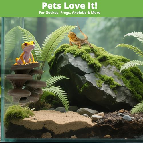 Mushroom Decor for Reptile Tank (Cluster Cap / Cocoa)