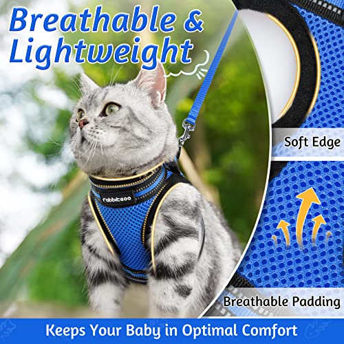 Cat Harness and Leash Set (M / Blue)