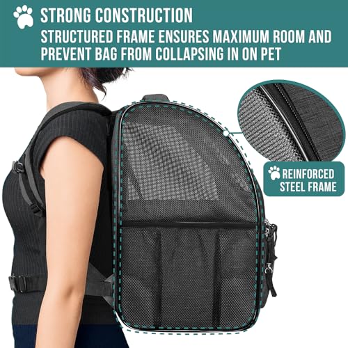 Dog Backpack Carrier Airline Approved Cat Pet Puppy Bag (Charcoal)