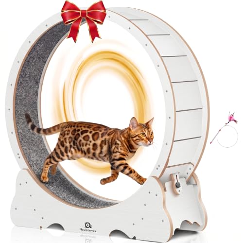 Cat Wheel 53" XXL Large Exercise Running Wheels with Detachable Carpet for Indoor Cats (White / XXL)