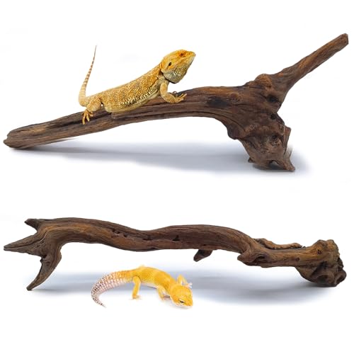 2PCS Snake Climbing Branches (2Pcs 10-12in Reptile Climbing Branches)