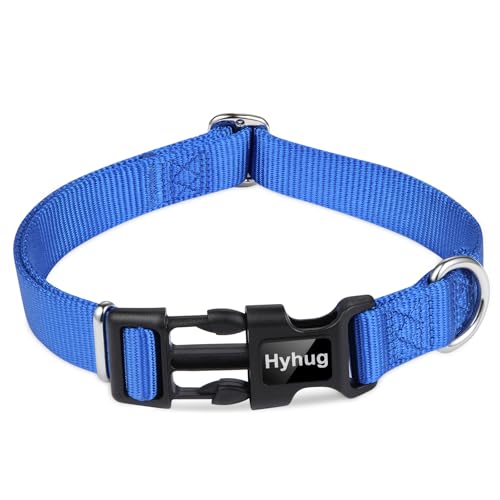 Blue Dog Collar for Large Dogs (Large / Bright Blue)