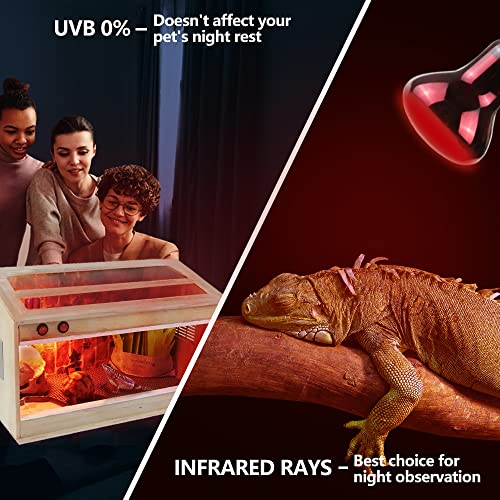 50W Reptile Heat Lamp Bulbs 2 Pack (Infrared Basking Light Bulb / 50 Watts)