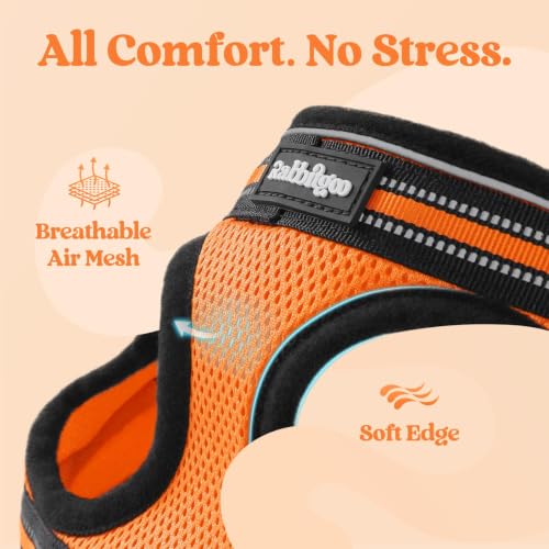 Cat Harness and Leash Set (M / Orange)