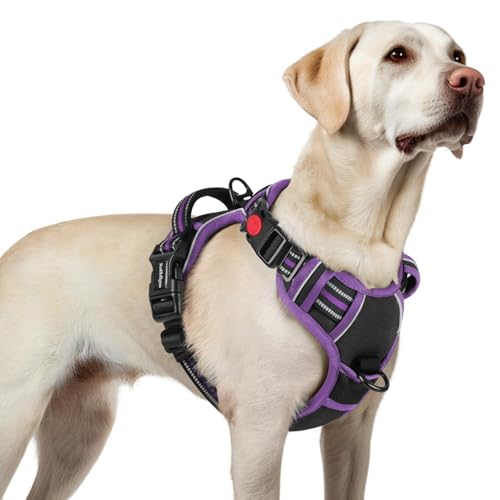 Dog Harness for Large (Black & Purple / Large)