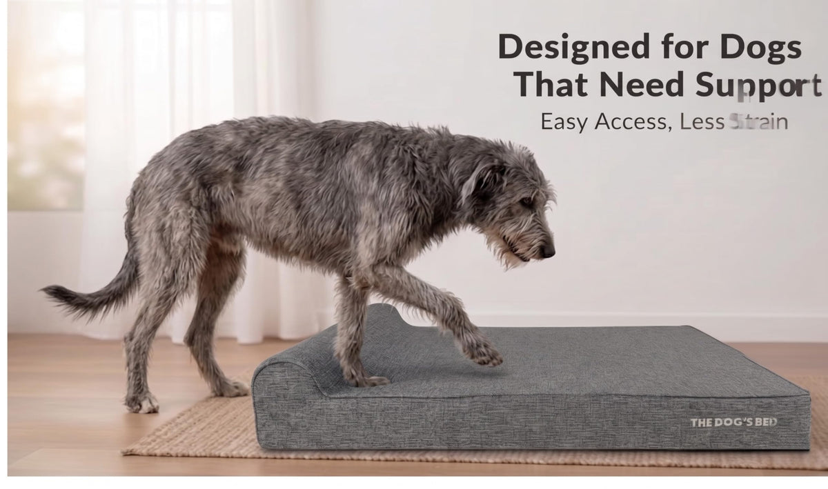 The Dog’s Bed Orthopedic Memory Foam Dog Bed with Headrest XXL (Grey Linen / XXL (54"L x 36"W x 6"Th))