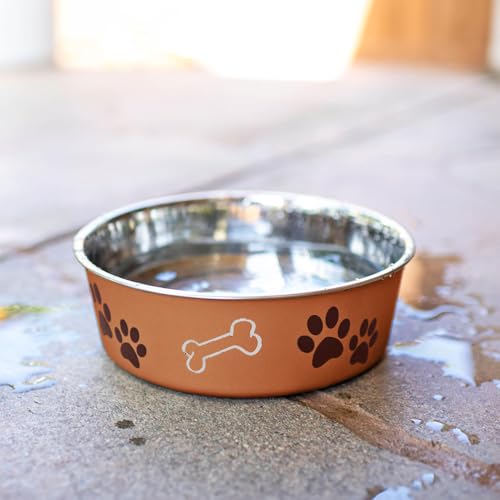 Bella Dog Bowls (Copper / Large (35-65lbs))
