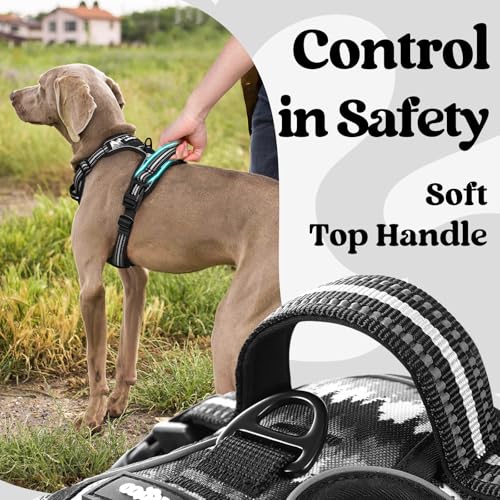 Dog Harness for Large (Mountain Black / Large)