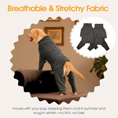 Recovery Suit for Medium Dogs (Grey / M)