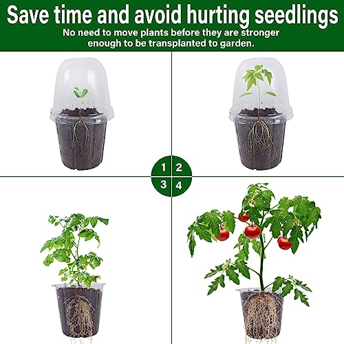 36 Set Nursery Pots with Humidity Dome (Clear)