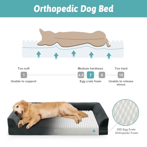 Orthopedic Dog Bed for Extra Large Dogs (Black / XL:44x32x7 inch)