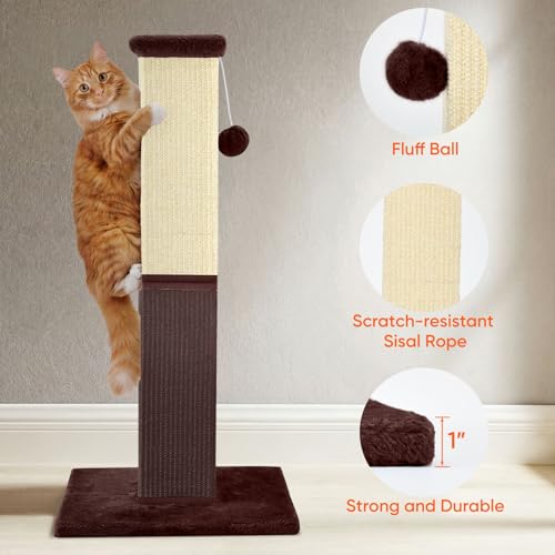 Cat Scratching Post for Indoor Cat (brown)