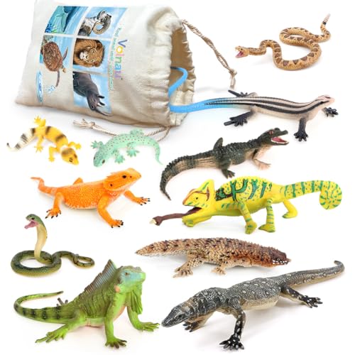 Animal Figurines Snake Toys 11PCS Reptile Figures Cold Blooded Amphibians Lizard Zoo Pack for Toddlers Kids Christmas Decoration Gift