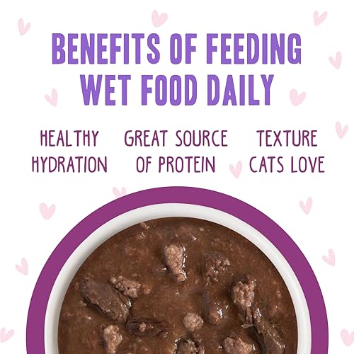 B.F.F. OMG Best Feline Friend Oh My Gravy! (2.8 Ounce (Pack of 12))