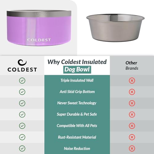 Coldest Dog Bowl (200 oz / Saturns Purple Glitter)