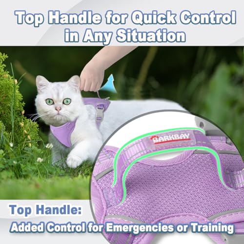 Cat Harness and Leash Set Escape Proof for Kitten Walking (XX-Small / Violet Purple)