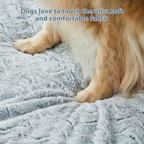 XXL Extra Large Orthopedic for Senior Dog BedComfy Sleeping (Grey / XX-L (45x35x7in))