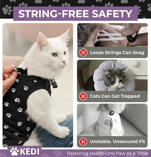 Cat Recovery Suit Female After Spay (Black / Large)