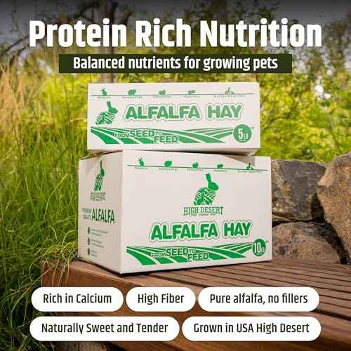 Alfalfa Hay for Young Rabbits and Guinea Pigs (10 Pound (Pack of 1))