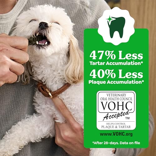 Regular Natural Dental Dog Treats (36 Count (Pack of 1))