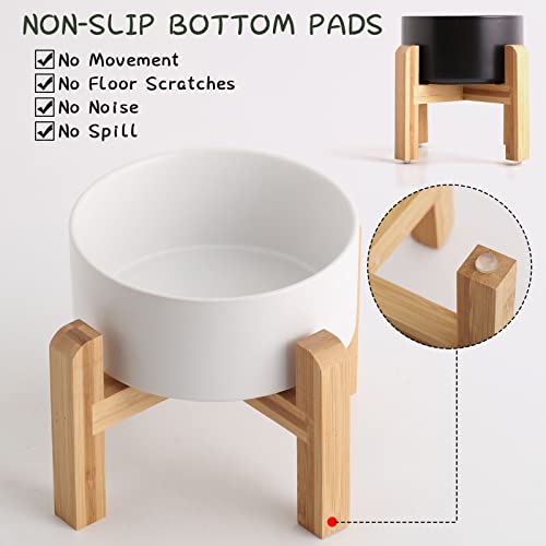 White Elevated (White / 7.6 Cups -Large)