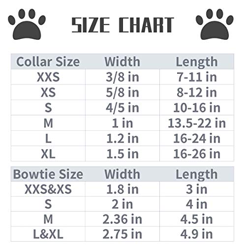 Valentines Day Dog Collar with Bowtie (Hearts / Small (Pack of 1))